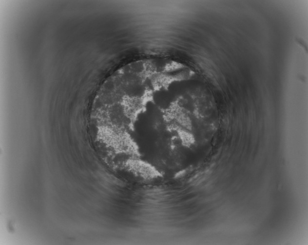 X0000097490817200803141955