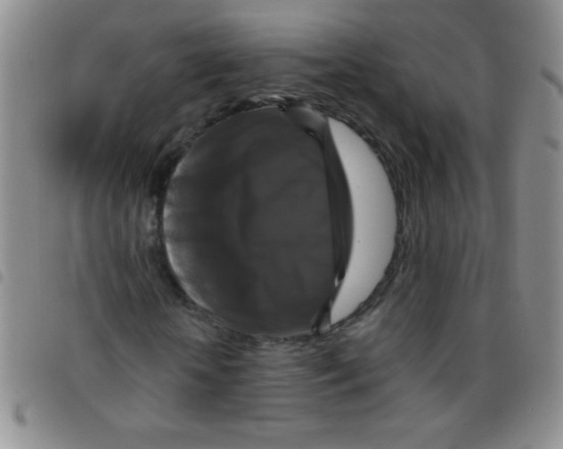 X0000097490818200803141955