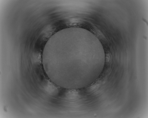 X0000097490820200803141955