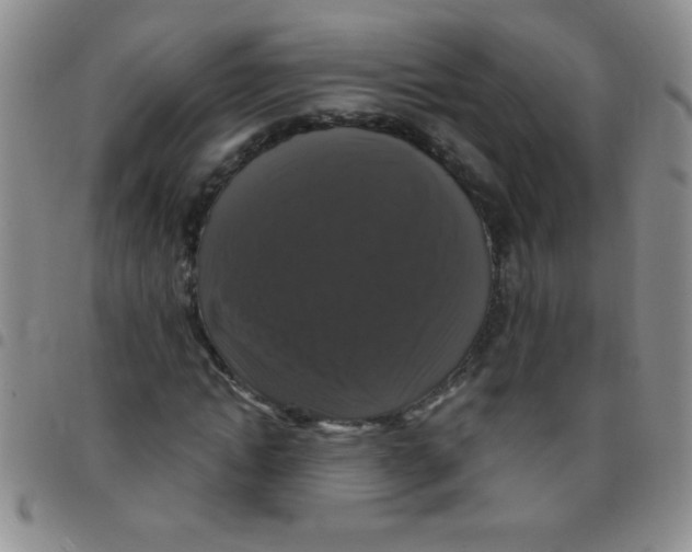 X0000097490822200803141955