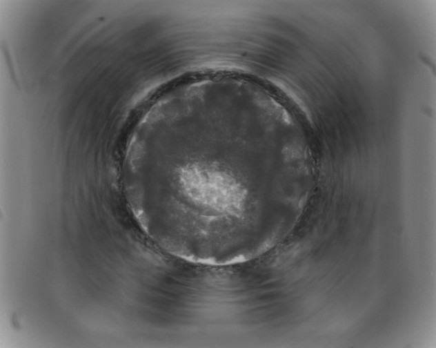 X0000097490823200803141955