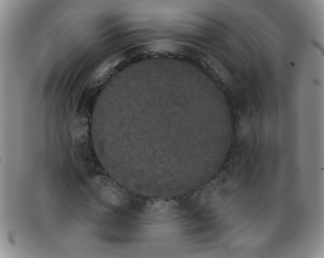 X0000097490824200803141955