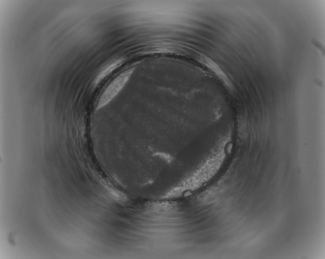 X0000097490826200803141955