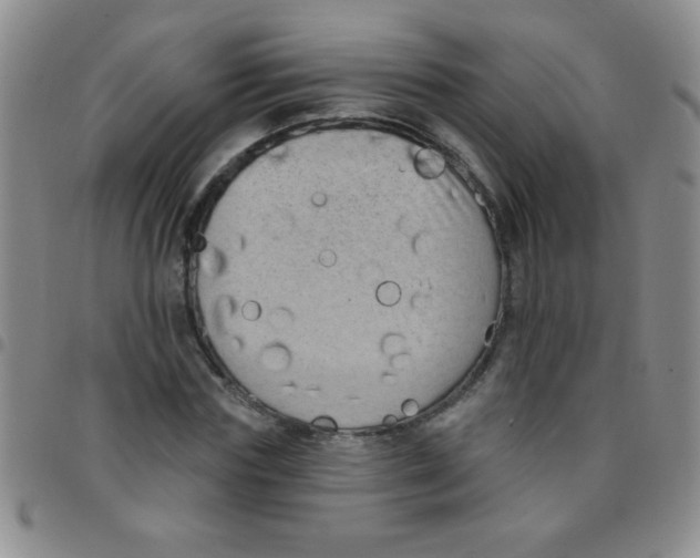 X0000097490827200803141955