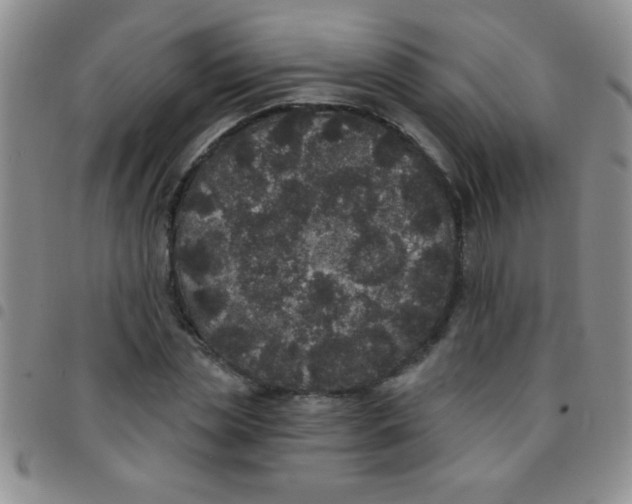 X0000097490829200803141955