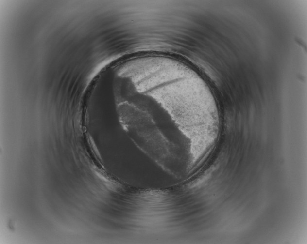 X0000097490830200803141955