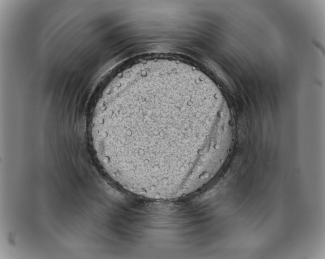 X0000097490831200803141955