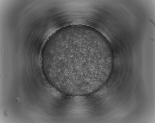 X0000097490832200803141955