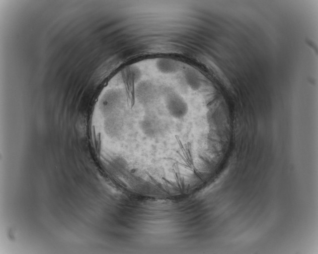 X0000097490833200803141955