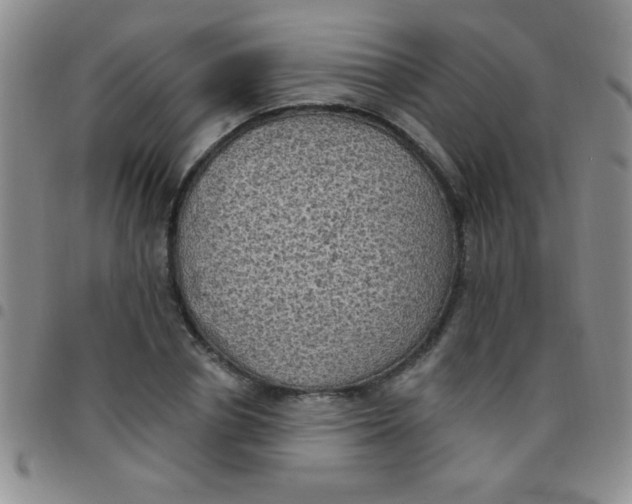 X0000097490834200803141955