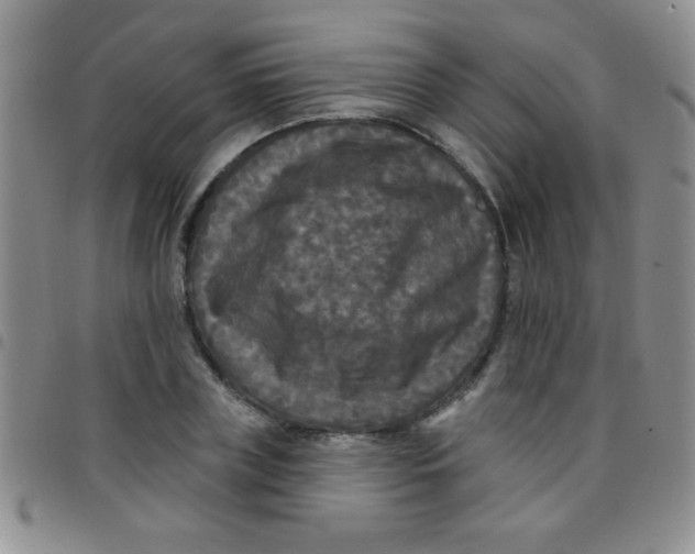 X0000097490835200803141955