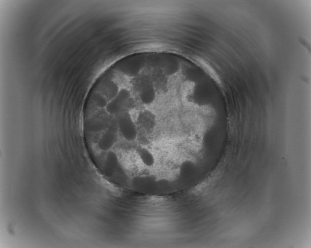 X0000097490839200803141955