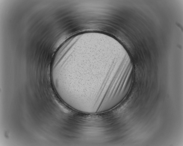 X0000097490842200803141955