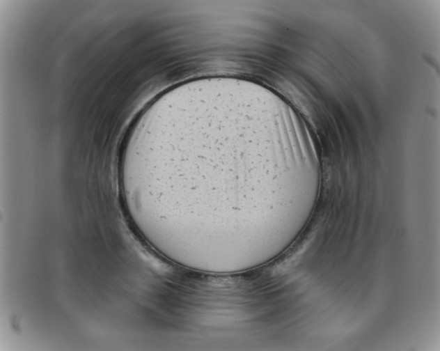 X0000097490843200803141955