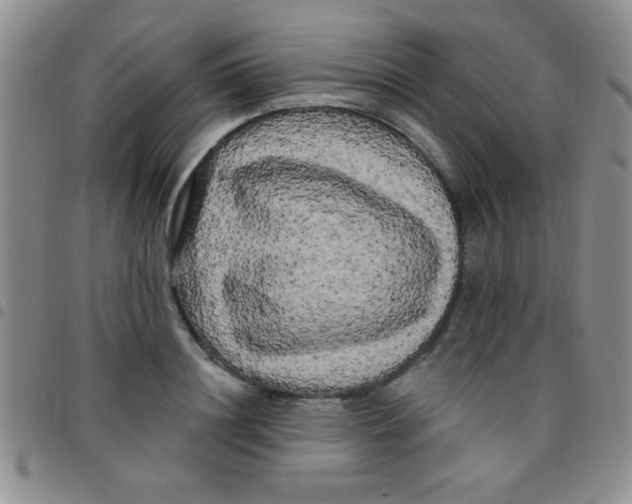 X0000097490844200803141955