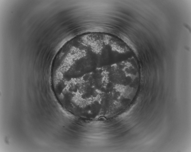 X0000097490845200803141955