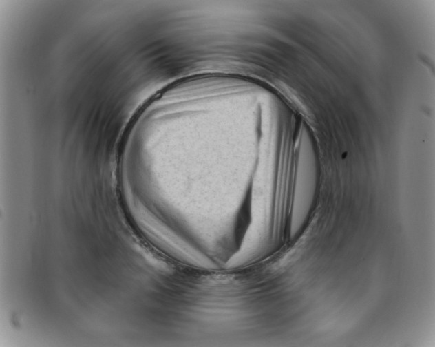 X0000097490846200803141955