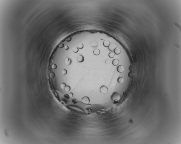 X0000097490847200803141955