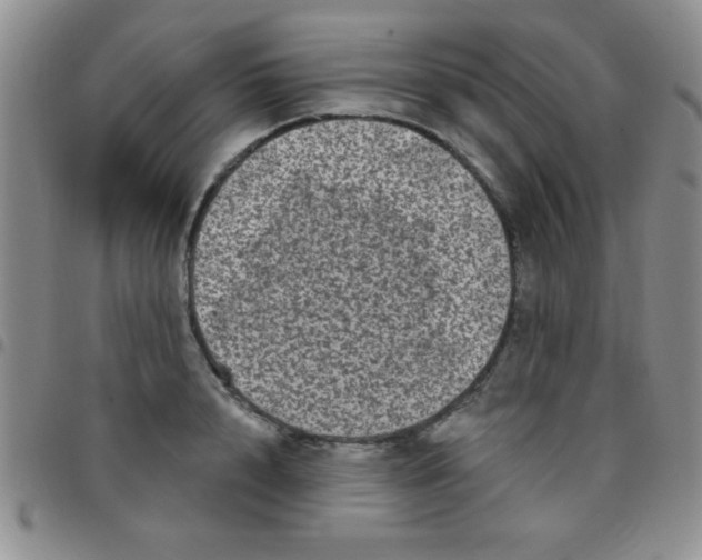 X0000097490848200803141955