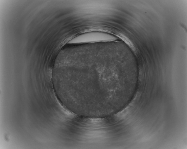 X0000097490849200803141955