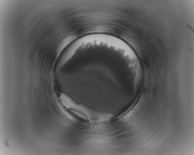 X0000097490850200803141955