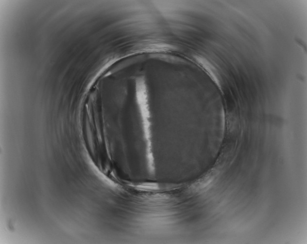 X0000097490851200803141955