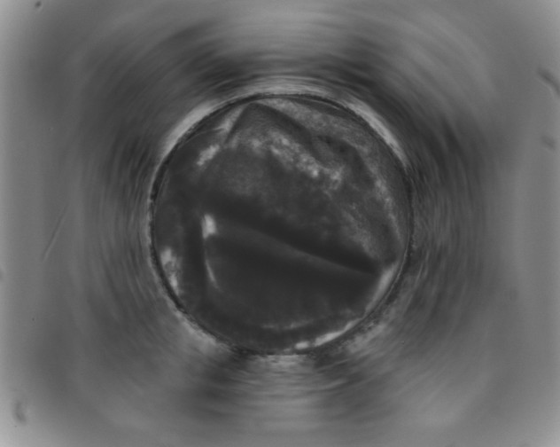 X0000097490853200803141955