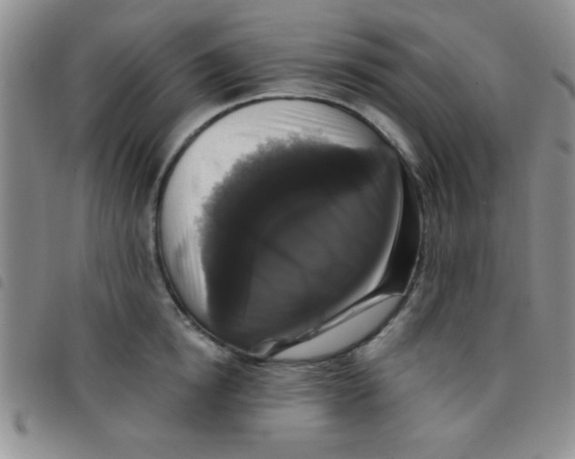 X0000097490854200803141955