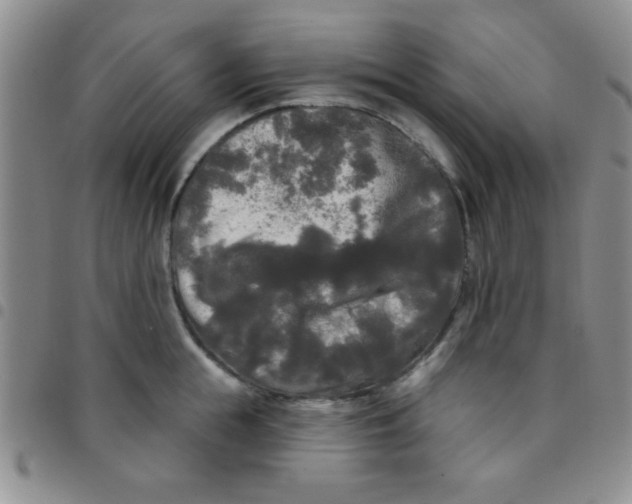 X0000097490855200803141955