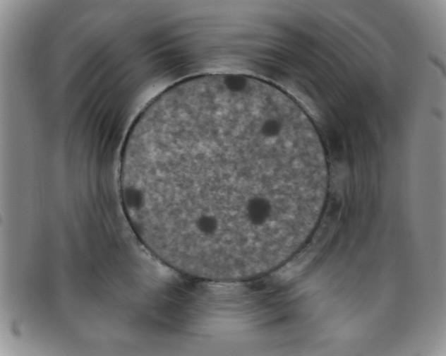 X0000097490856200803141955