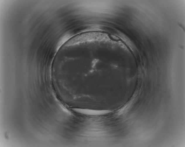 X0000097490858200803141955