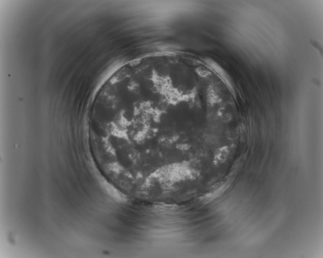 X0000097490859200803141955