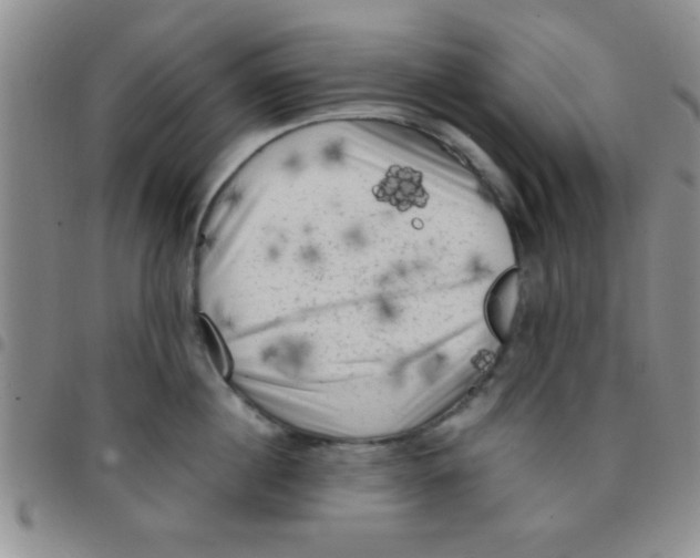 X0000097490860200803141955