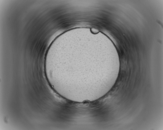 X0000097490861200803141955