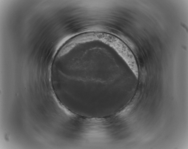 X0000097490862200803141955