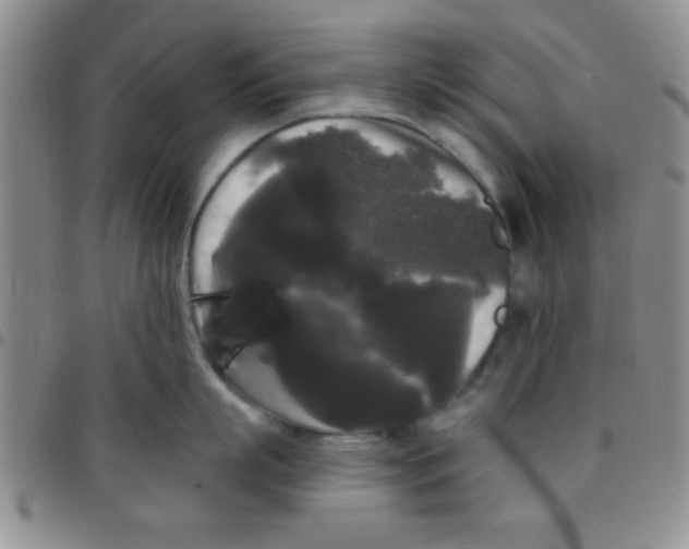 X0000097490863200803141955