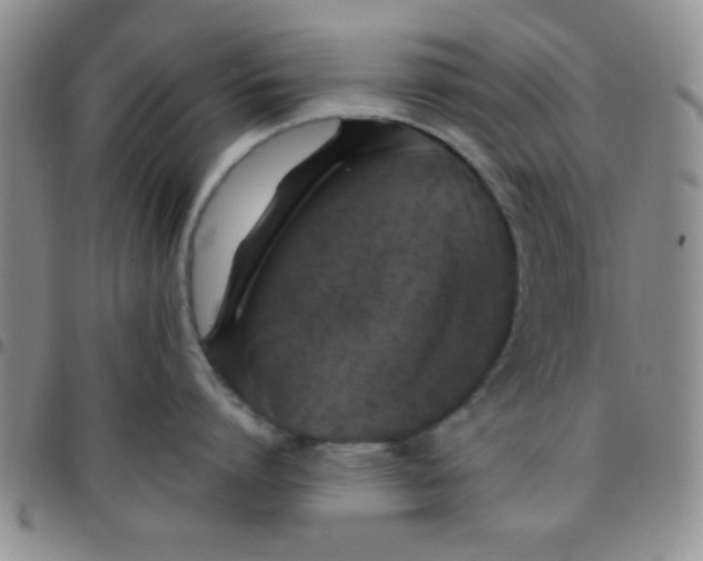 X0000097490864200803141955