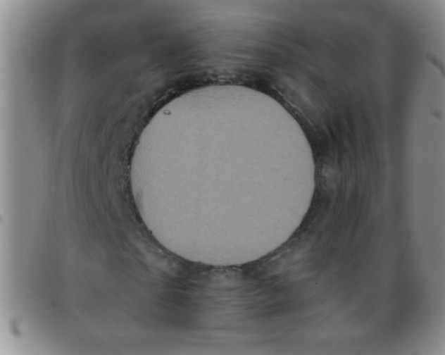 X0000097490865200803141955