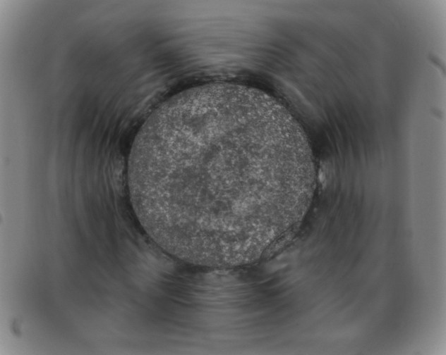 X0000097490867200803141955