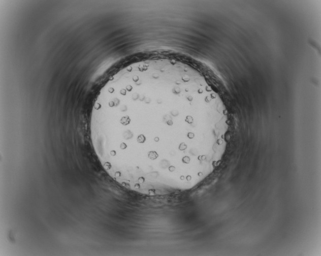 X0000097490871200803141955