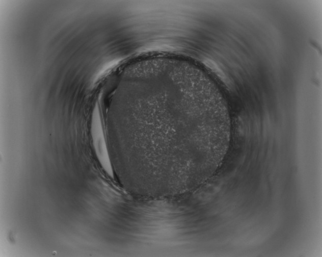 X0000097490872200803141955