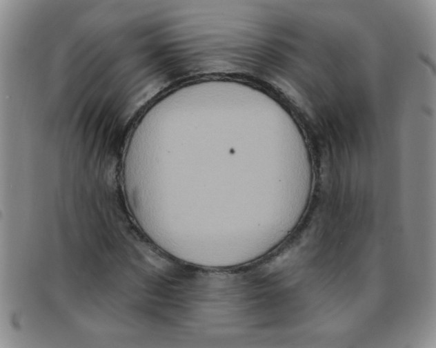 X0000097490873200803141955