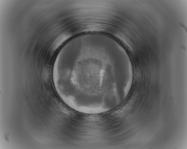 X0000097490874200803141954