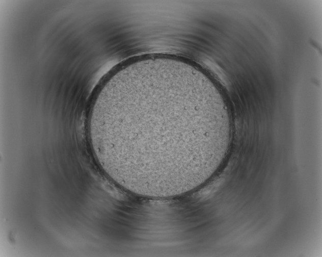 X0000097490875200803141954