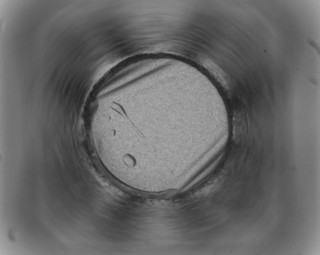 X0000097490876200803141954