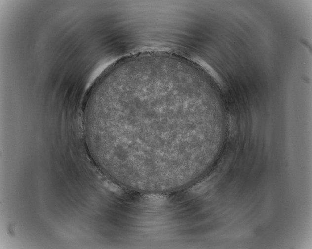 X0000097490878200803141954