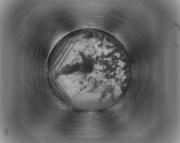 X0000097490879200803141954