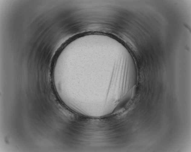 X0000097490880200803141954