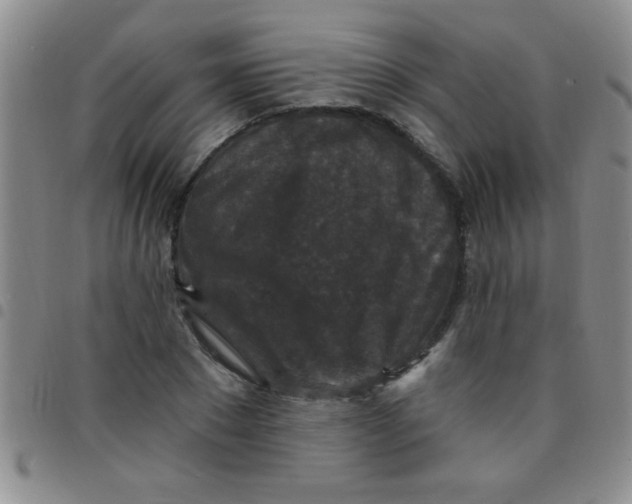 X0000097490881200803141954