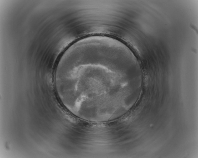 X0000097490882200803141954